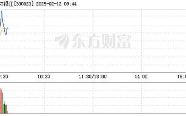 300020股票-300020股票的电话