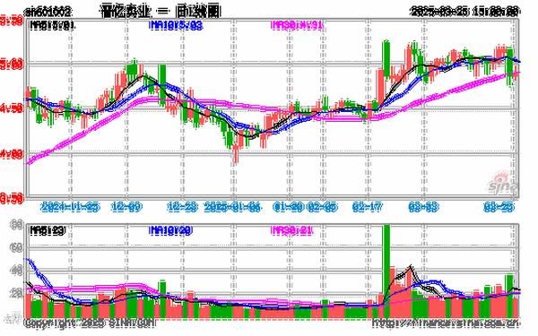 601002资金流向,601016资金流向