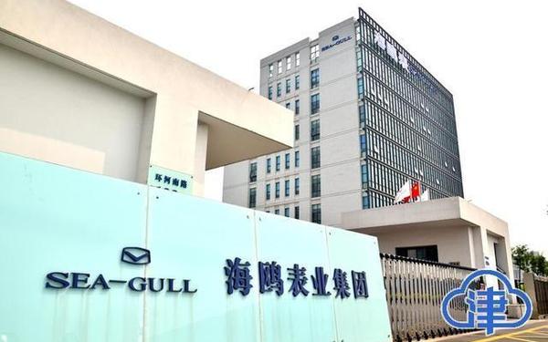 海鸥股份_海鸥股份是什么公司