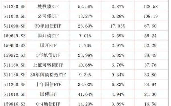嘉实稳固收益债券-4500w十年期金融债券