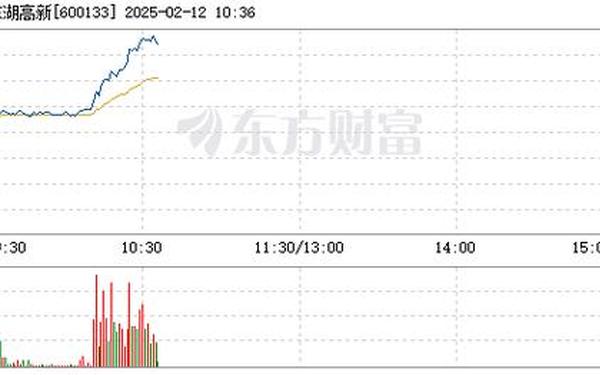 股票行情600133_股票行情600160