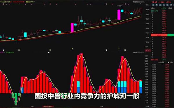 国投中鲁股票;国投电力股票