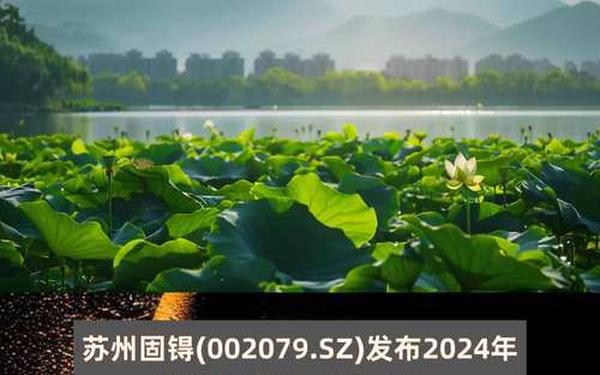 苏州固锝股票_苏州固锝是做什么的