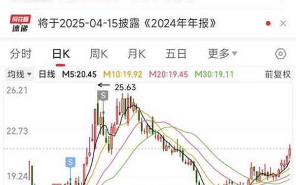 000513股票 603659璞泰来股票