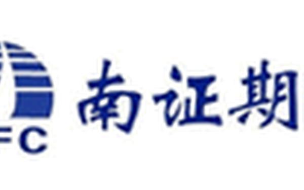 南方证券、南方证券的风险与挑战
