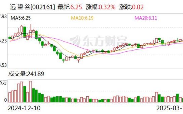 远望谷股票(远望谷未来目标价80元)