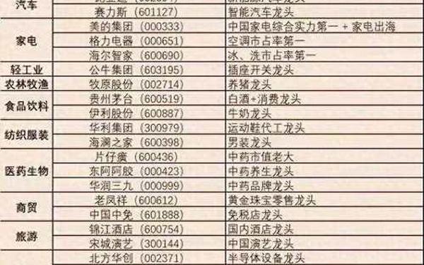 股票000488-2025年最有潜力的股票
