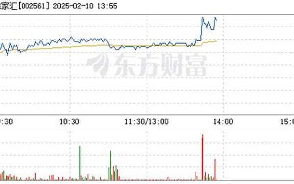 徐家汇股票_徐家汇股票行情东方财富