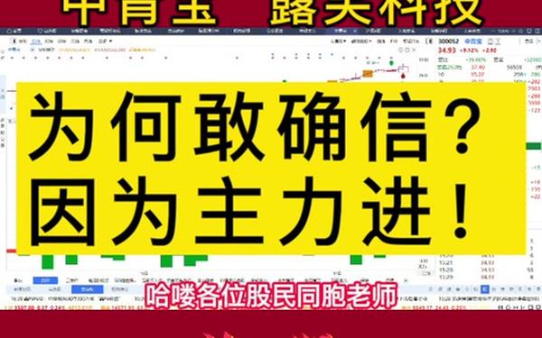 露笑科技股票 露笑科技还能到20吗
